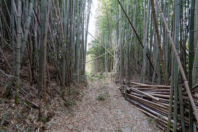 千葉県富津市花香谷の売買物件
