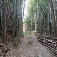 千葉県富津市花香谷の売買物件