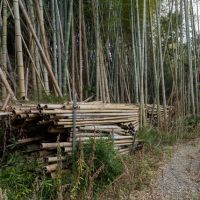 千葉県富津市花香谷の売買物件