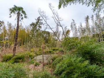 千葉県富津市花香谷の売買物件/静けさの中の水鏡 ― 富津・竹林に囲まれた土地