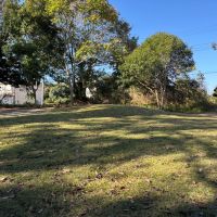 大網白里市細草の売買物件/道路側から庭を。物件は住宅地の一角ですが緑が多くとても恵まれた立地。田舎にポツンと一軒家は心細いという方にはむしろ安心かもしれません