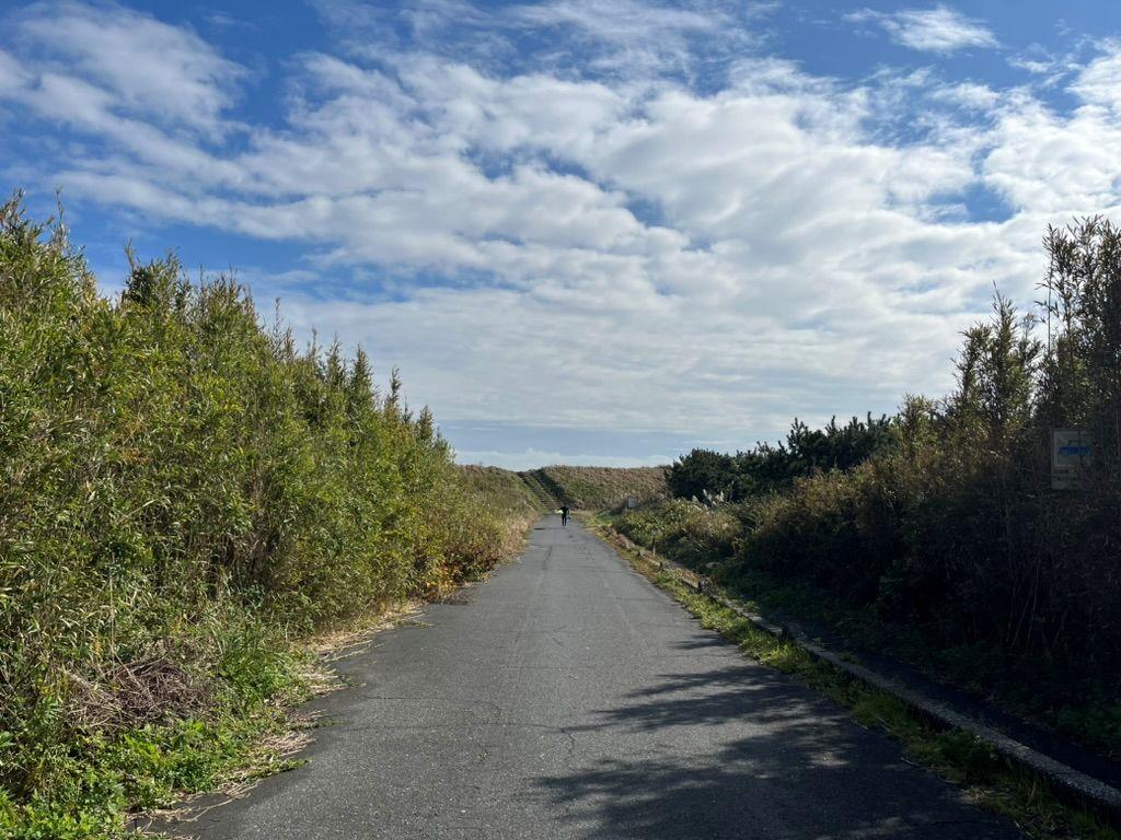 千葉県長生郡一宮町東浪見の売買物件/県道を超えてもう少しで海