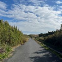 千葉県長生郡一宮町東浪見の売買物件/県道を超えてもう少しで海