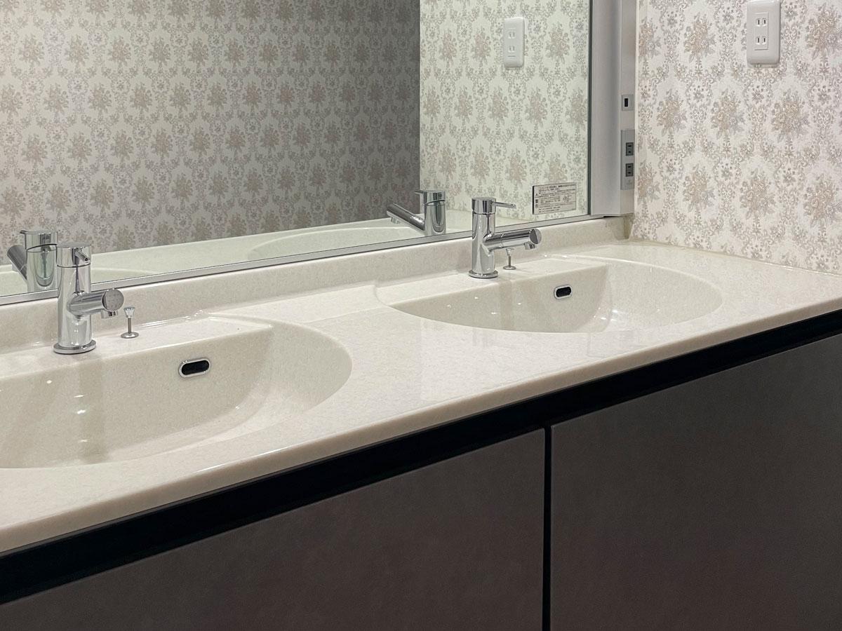 千葉県富津市海良の売買物件/ゆったりと使える2ボウルタイプの洗面台