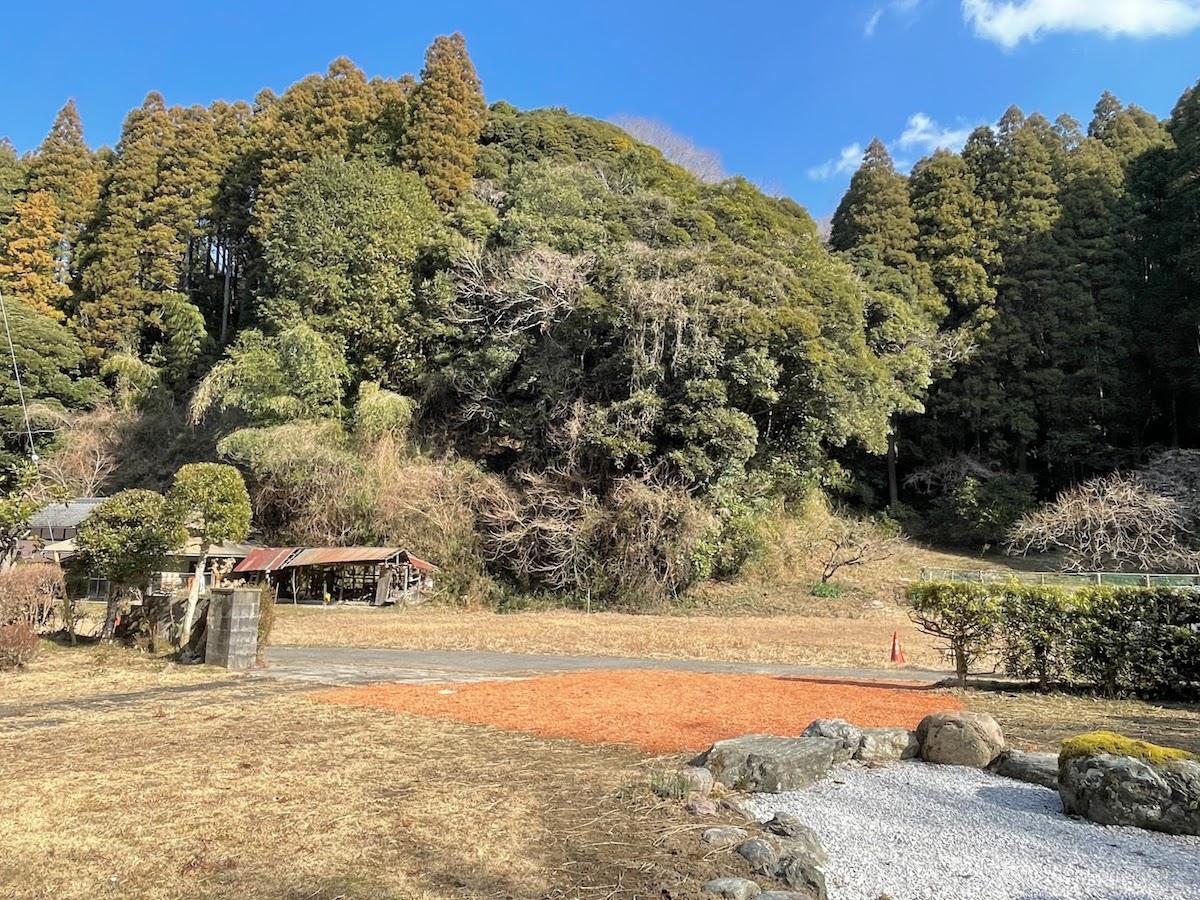 千葉県茂原市三ヶ谷の売買物件/縁側から見た前庭。人工物が少ない景観に癒されます