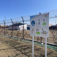 千葉県長生郡一宮町一宮の売買物件/公園にはフェンスがついていた