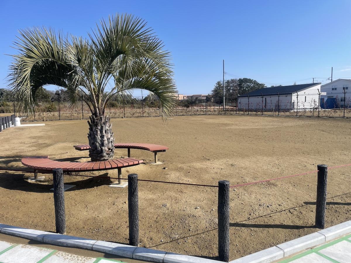 千葉県長生郡一宮町一宮の売買物件/公園内