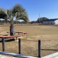 千葉県長生郡一宮町一宮の売買物件/公園内