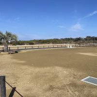 千葉県長生郡一宮町一宮の売買物件/広々とした公園