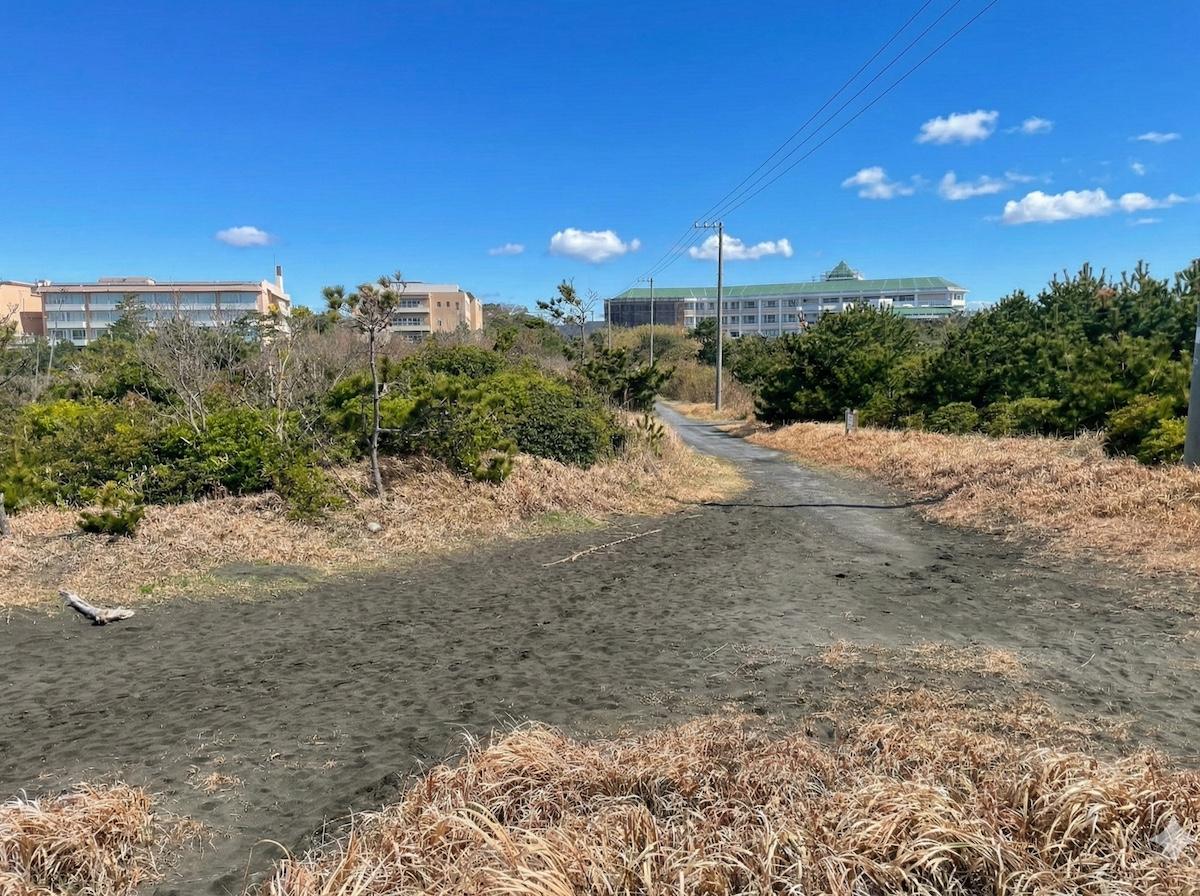 千葉県長生郡一宮町一宮の売買物件/海への小道