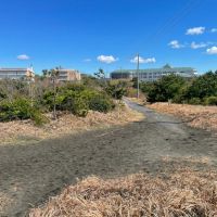 千葉県長生郡一宮町一宮の売買物件/海への小道