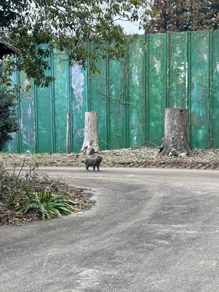 千葉県八街市根古谷の売買物件/この光の記憶を、引き継ぐ準備はできていますか？