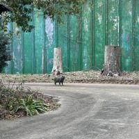 千葉県八街市根古谷の売買物件/この光の記憶を、引き継ぐ準備はできていますか？