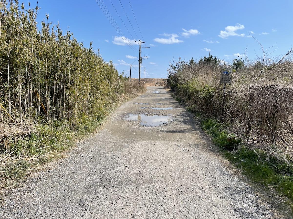 千葉県匝瑳市新堀の売買物件/近くのビーチへ