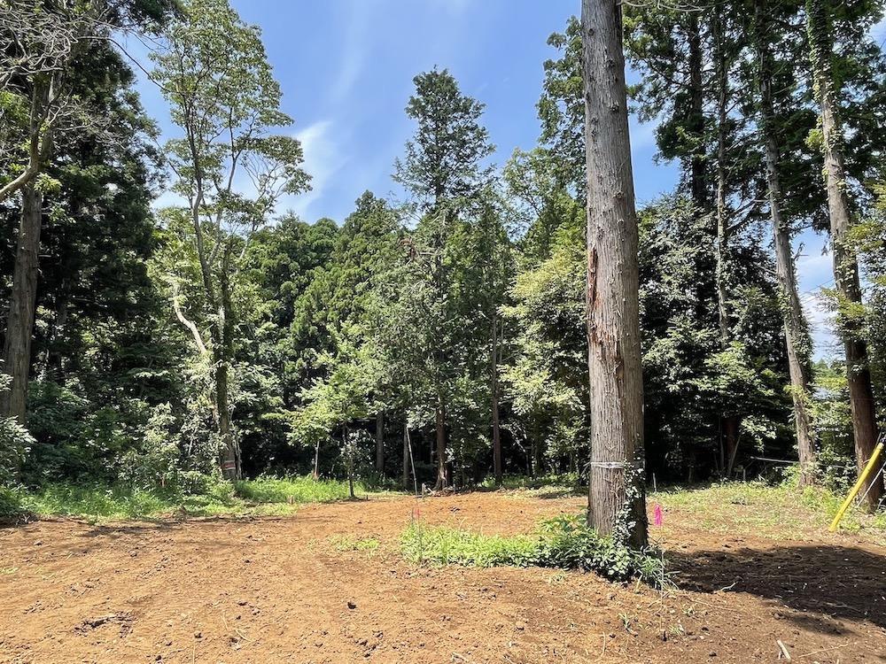 千葉県いすみ市岬町椎木の売買物件