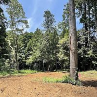 千葉県いすみ市岬町椎木の売買物件