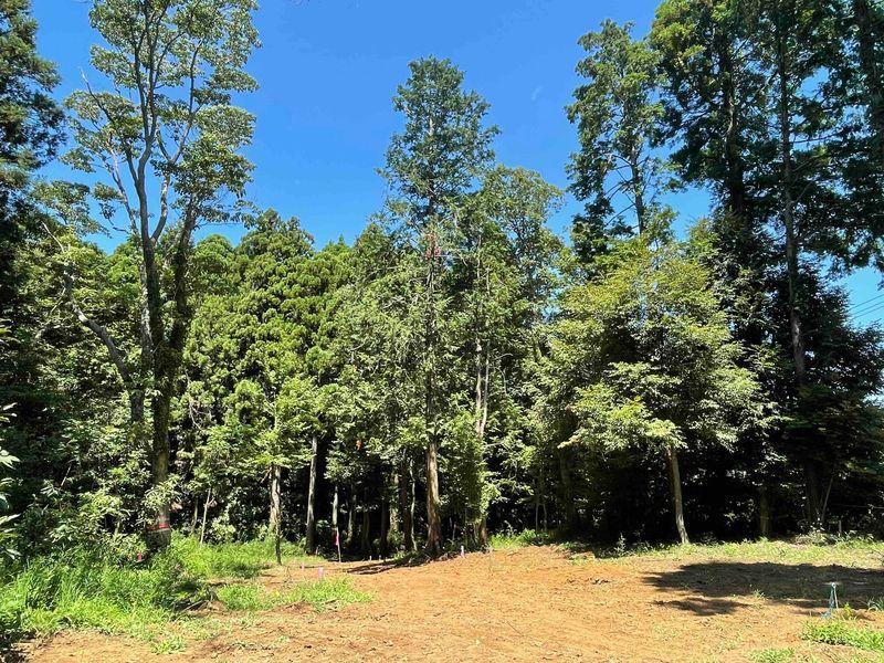 千葉県いすみ市岬町椎木の売買物件/「MUJI HOUSE」北側から区画②、③へ向かったアングル