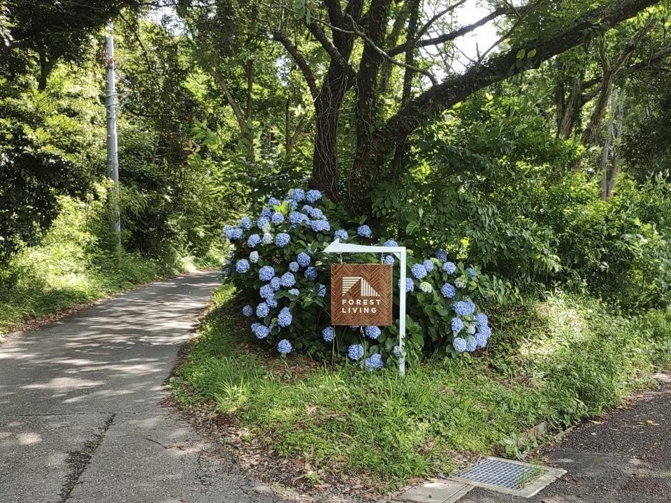 千葉県いすみ市岬町椎木の売買物件/配置図からみると右上のY字路。道路から敷地全体へ向かってみているアングル



