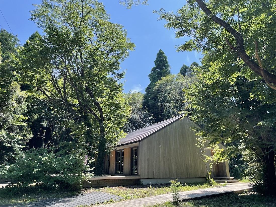 千葉県いすみ市岬町椎木の売買物件/隣地に立つ「MUJI HOUSE」の平屋(参考写真)。今回募集する区画もこんな森の中なので、うまく建物を配置すれば同じような平屋はつくれそう。ご希望の設計士さんや工務店とご相談ください。