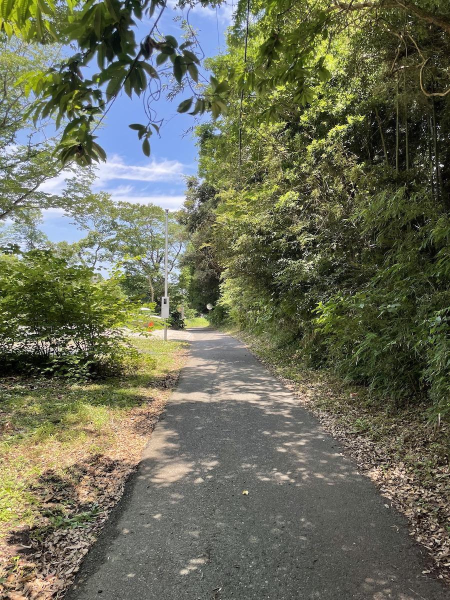 千葉県いすみ市岬町椎木の売買物件/前面道路