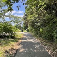 千葉県いすみ市岬町椎木の売買物件/前面道路