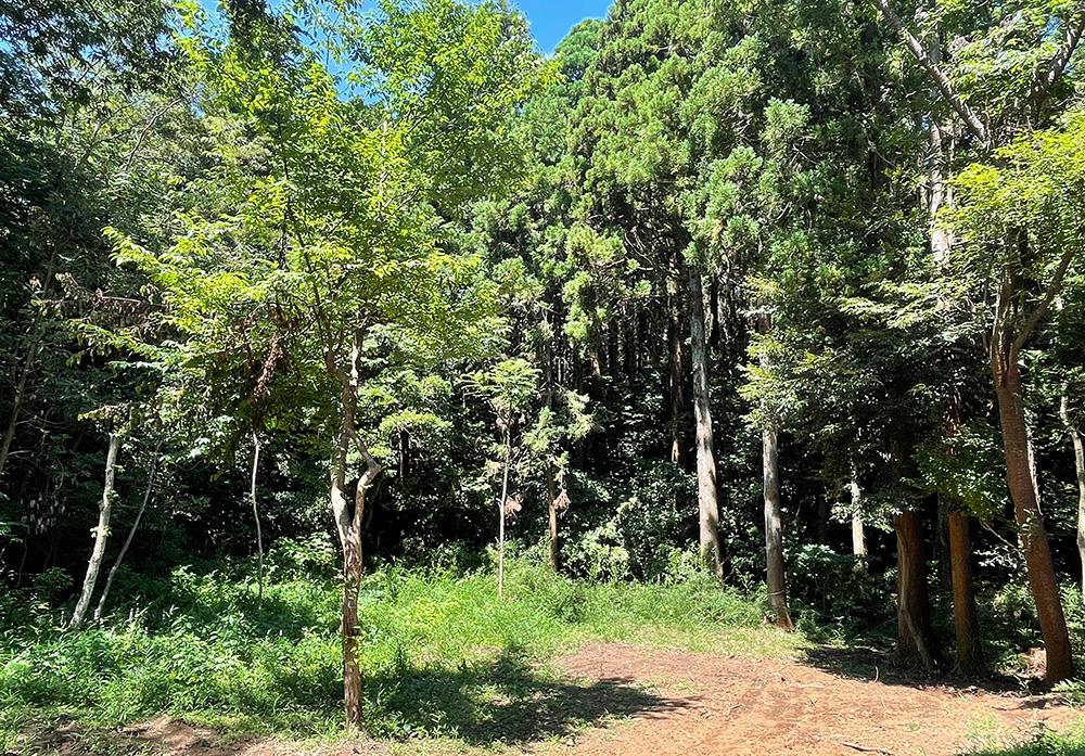 千葉県いすみ市岬町椎木の売買物件