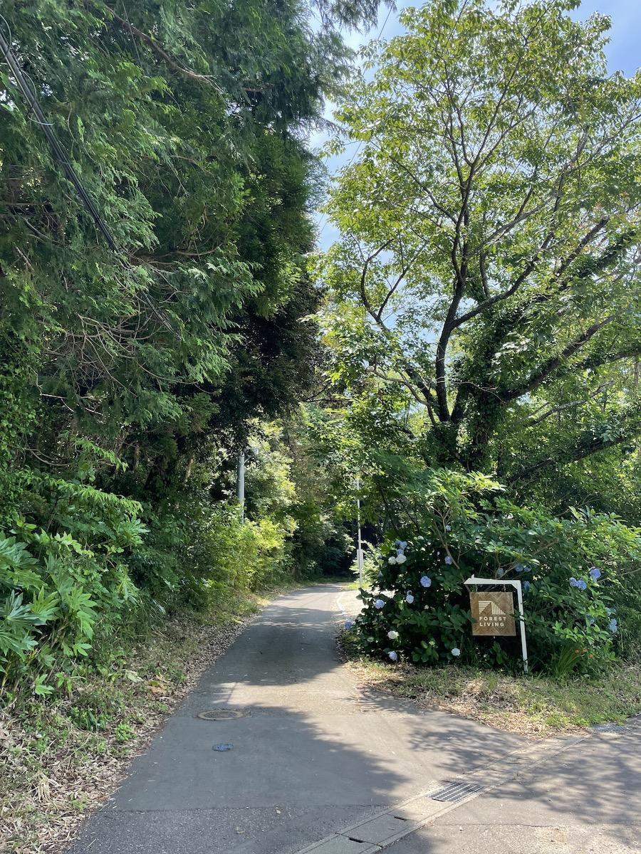 千葉県いすみ市岬町椎木の売買物件/Y字路