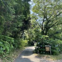 千葉県いすみ市岬町椎木の売買物件/Y字路