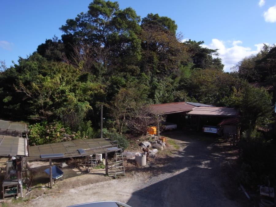2階からの庭の眺め。木々が茂る小山の途中が境界です。