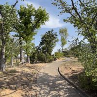 福岡市城南区南片江の賃貸物件/徒歩1分以内にこの公園。