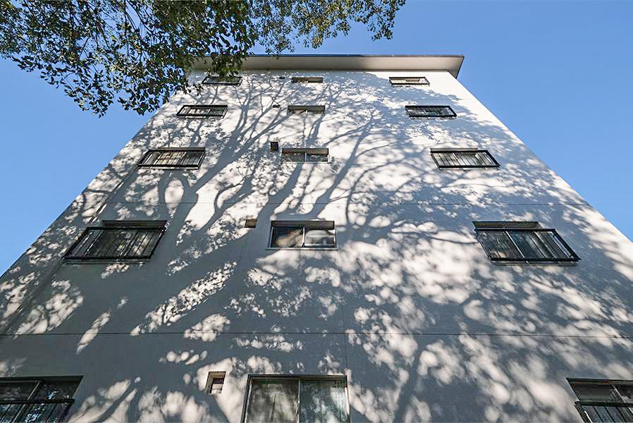 福岡市中央区桜坂の賃貸物件/美しい自然の影絵。