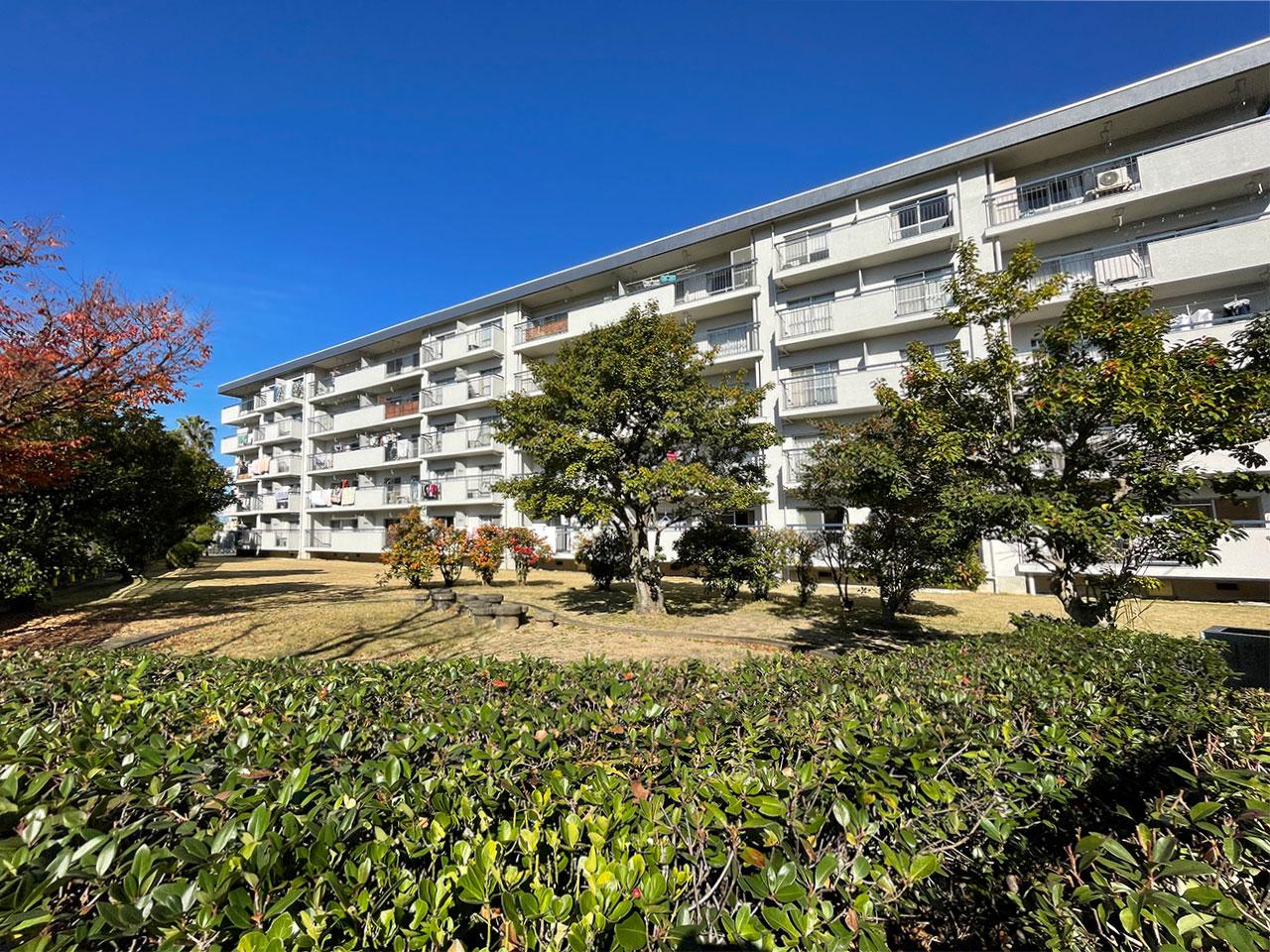 福岡市中央区福浜の賃貸物件/ザ・団地。季節を彩る木々や芝生が綺麗に植栽されています。