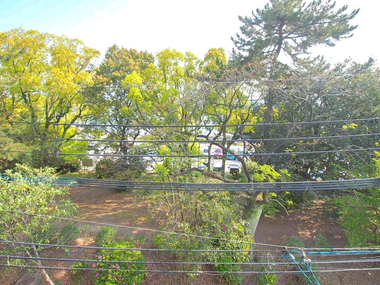 福岡市中央区大濠公園の賃貸物件/よーく見ると大濠の水面が見えます！