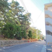 福岡市中央区大濠公園の賃貸物件/大濠公園とはこの距離感