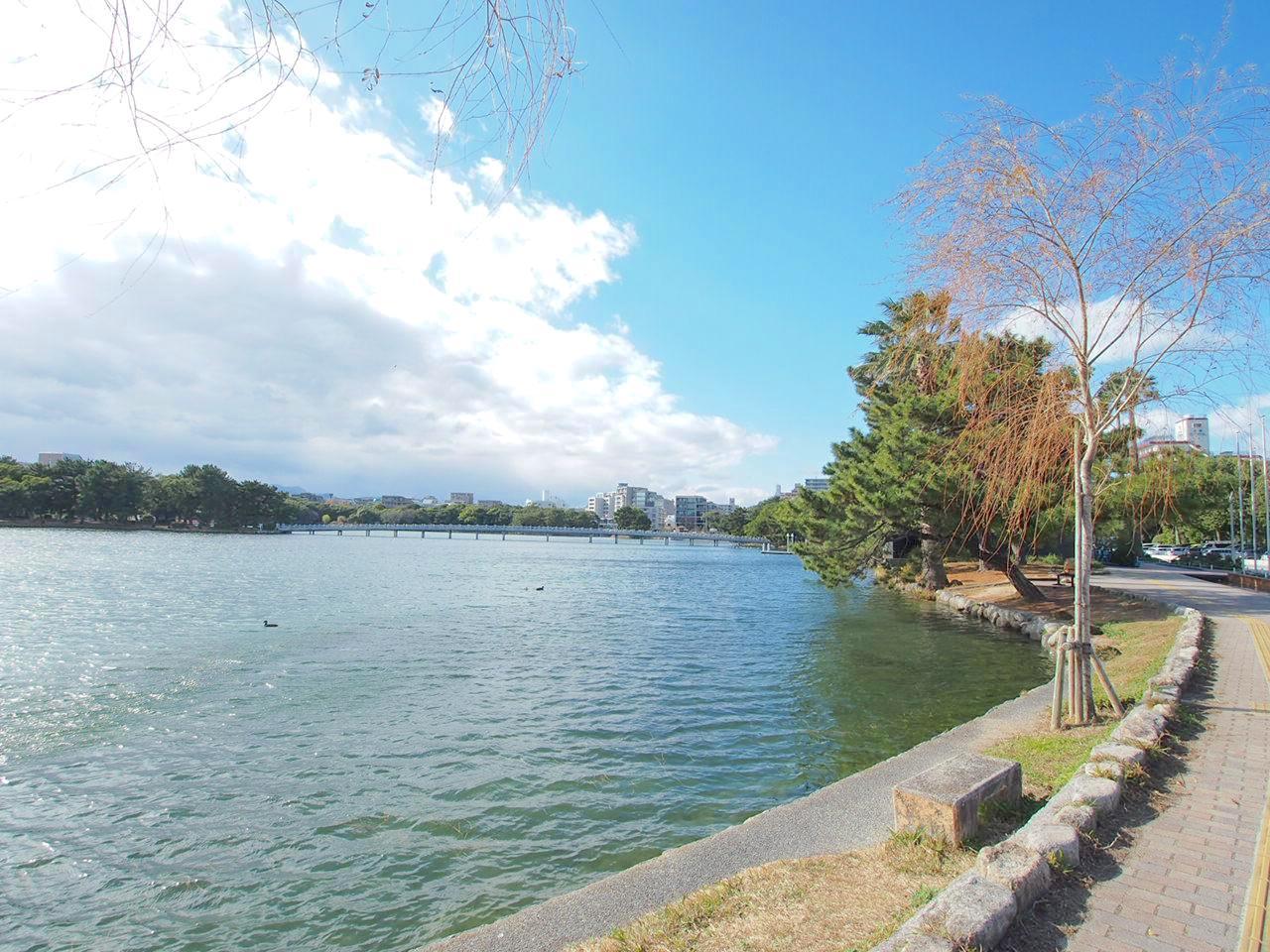 福岡市中央区大濠公園の賃貸物件/大濠公園がお庭です
