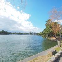 福岡市中央区大濠公園の賃貸物件/大濠公園がお庭です