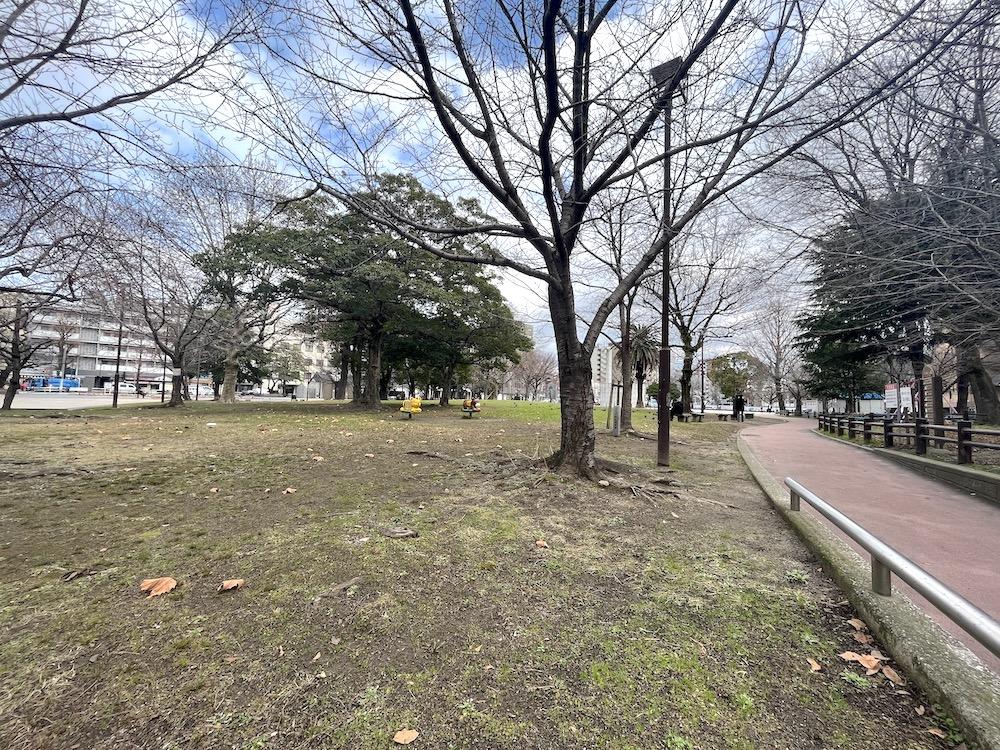 福岡市博多区上川端町の賃貸物件/季節の移ろいを感じます。