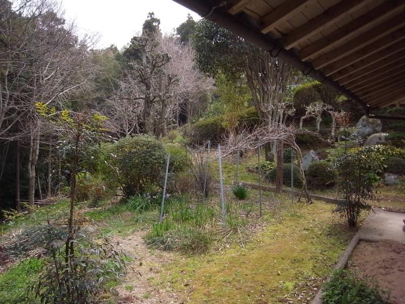 裏庭は家庭菜園にも。庭の北端は水路が通っています。