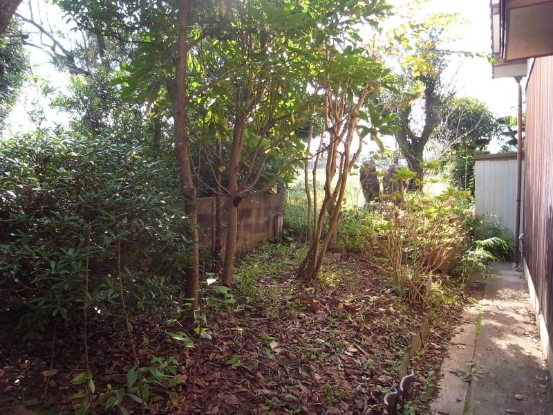 建物の北側にも少し庭があります。雑木が隣家との目隠しに。