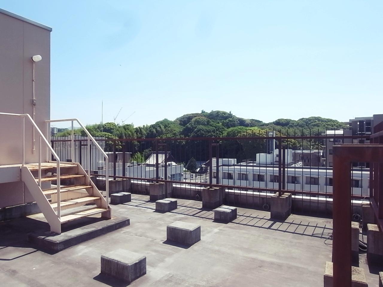 屋上。4Fから上の階は開口部から赤坂緑地が見えます。