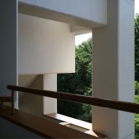 福岡市中央区赤坂の賃貸物件/カクカクした建物の間から覗く、緑がカッコよくてパシャリ。