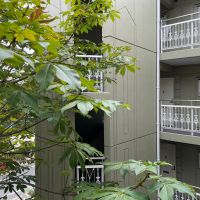 福岡市中央区平尾の賃貸物件/廊下の柵も可愛いんです。