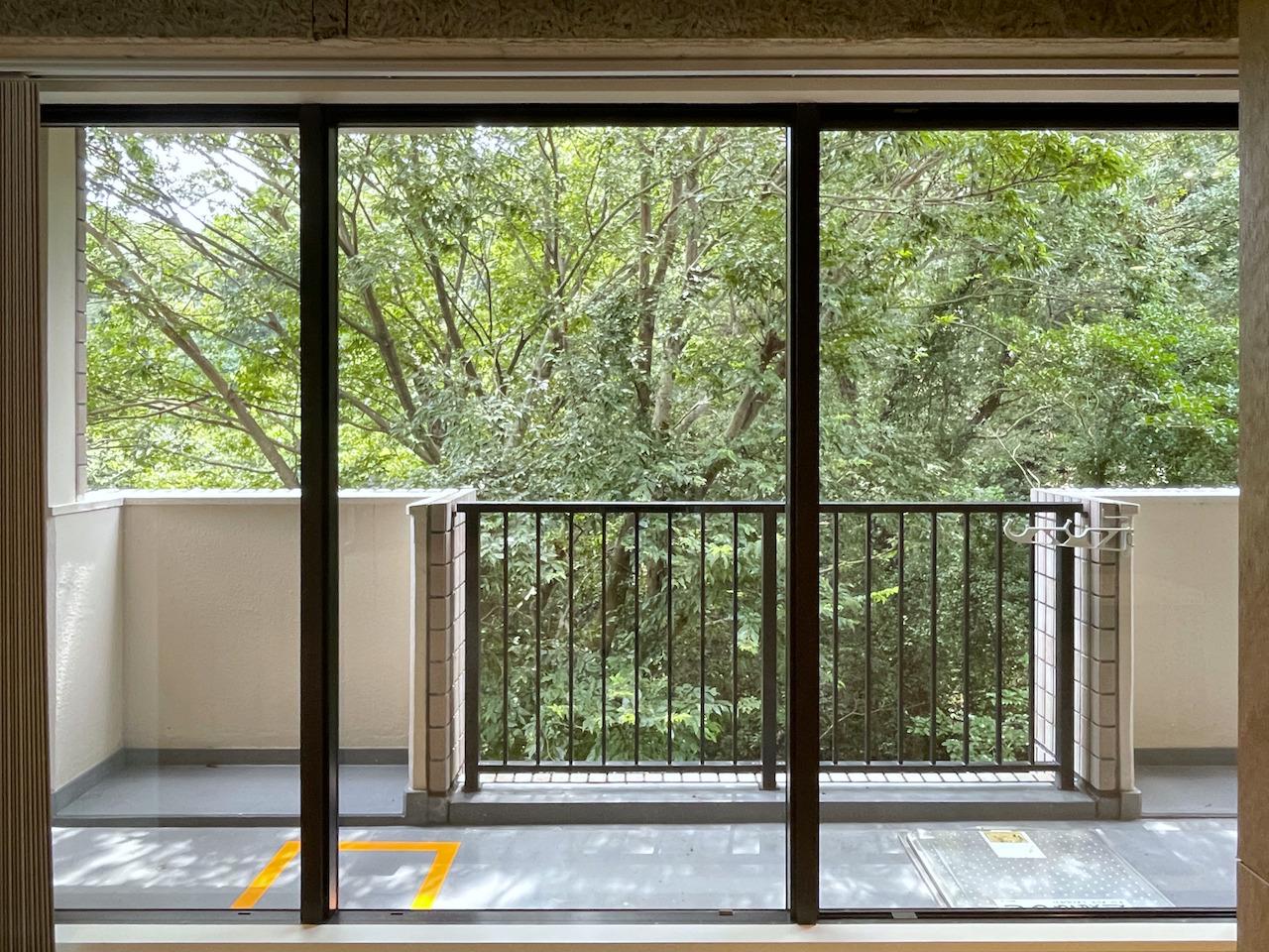 福岡市中央区桜坂の賃貸物件/ワイドスパンの窓からは圧巻の緑