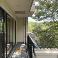 福岡市中央区桜坂の賃貸物件/緑とハイタッチできそうな距離