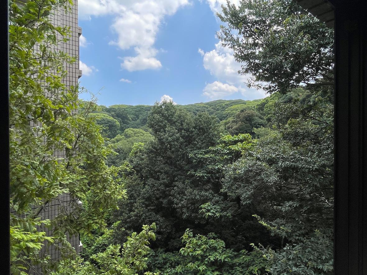 福岡市中央区桜坂の賃貸物件/ん？ここ中央区だよね。。