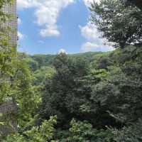 福岡市中央区桜坂の賃貸物件/ん？ここ中央区だよね。。