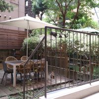 福岡市中央区大名の売買物件/室内から見た光景も素敵です。