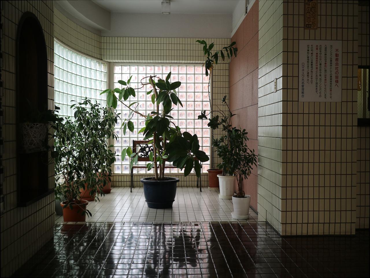 福岡市中央区大名の売買物件/エントランスの植物エリアも素敵。