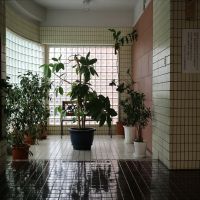 福岡市中央区大名の売買物件/エントランスの植物エリアも素敵。
