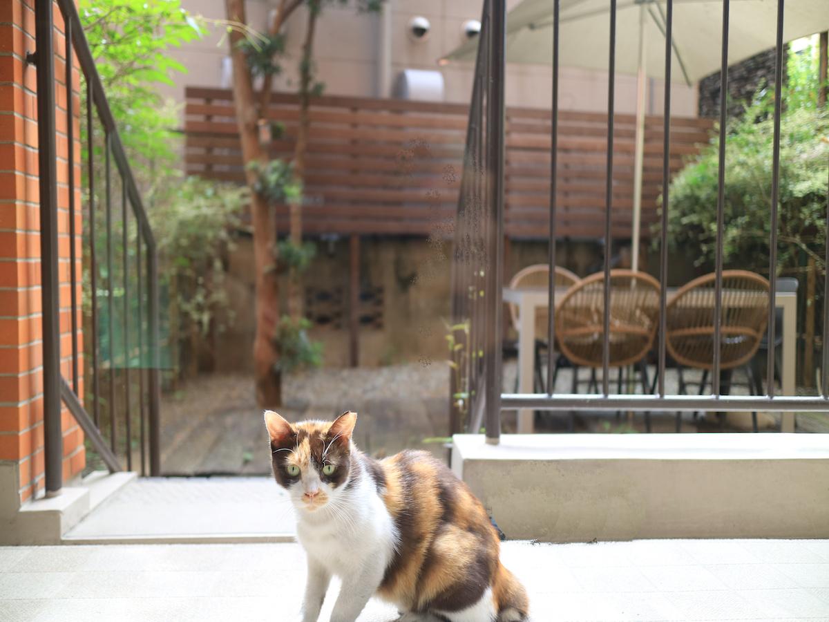 福岡市中央区大名の売買物件/ゾロゾロ。